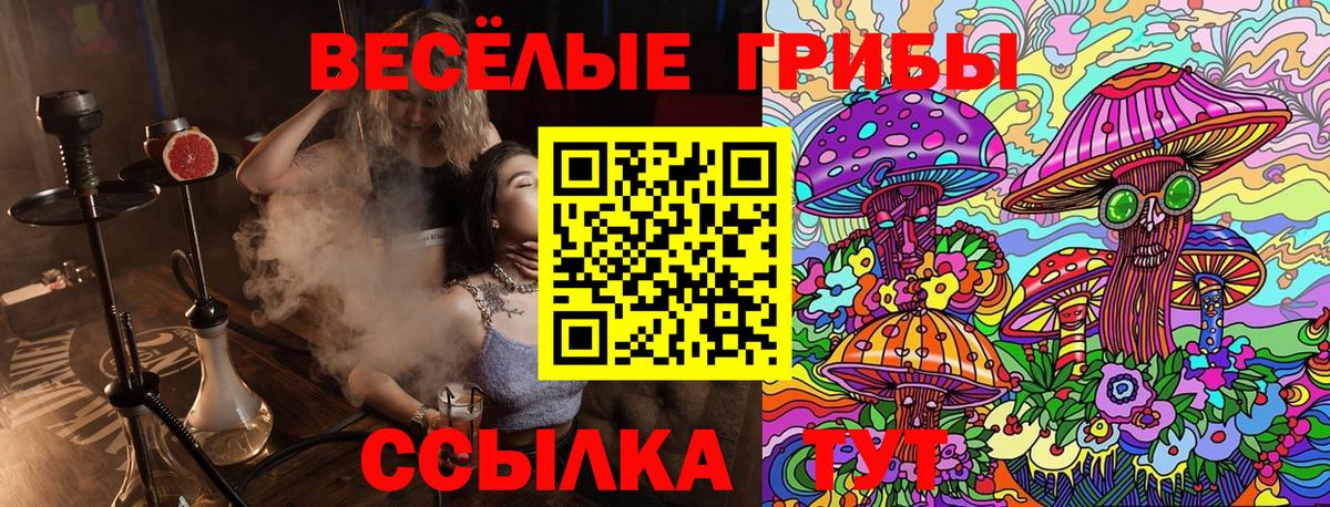 Галлюциногенные грибы Psilocybe  купить наркотики сайты  Азов  Вход с VPN 